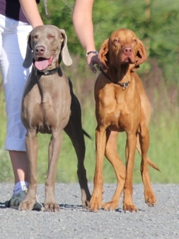 Rocky & Artie